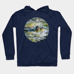 Bed of Bubbles, 🐸 Green Frog Photograph Hoodie